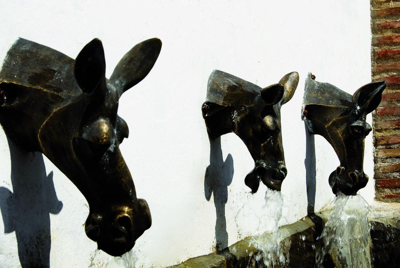 Villa La Roca - A Fusion Of Modern And Typical Andalucian Architecture Montecorto Exterior foto